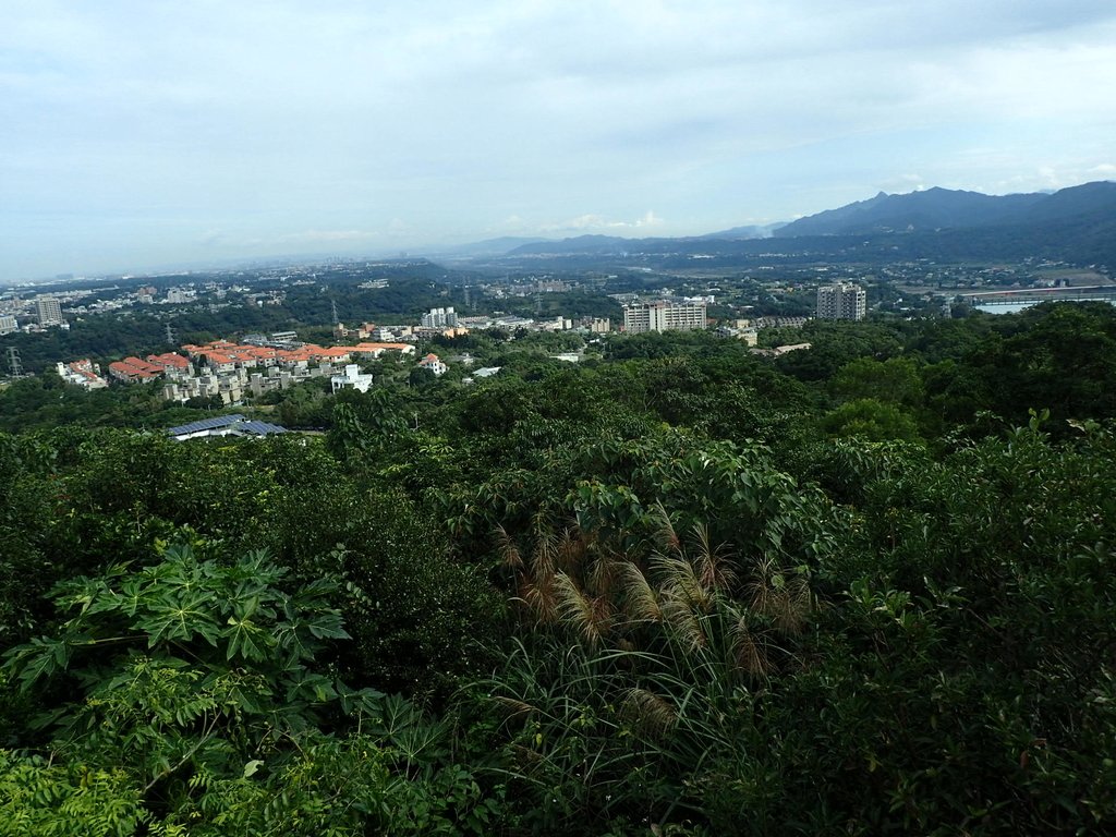 龍潭 石門山登山步道 (上) 龍潭 石門山登山步道 (上)