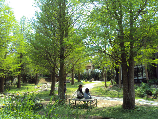 卓蘭 壢西坪 vilavilla 魔法莊園 卓蘭 壢西坪 vilavilla 魔法莊園