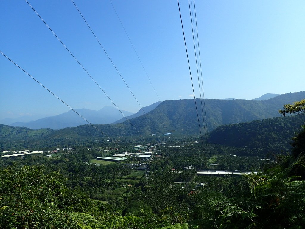 魚池 過坑山登山步道 魚池 過坑山登山步道