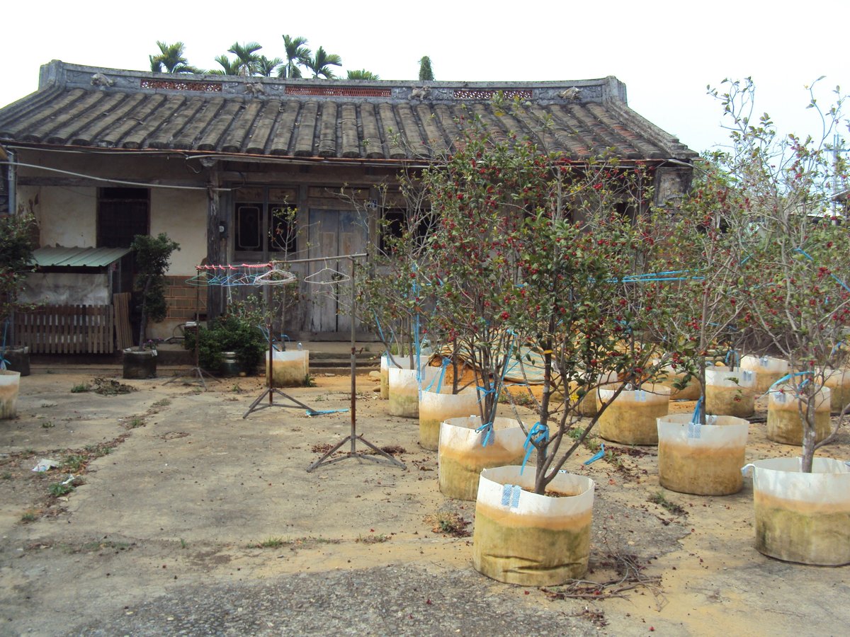 名間 鹿鳴巷 陳家古厝 名間 鹿鳴巷 陳家古厝