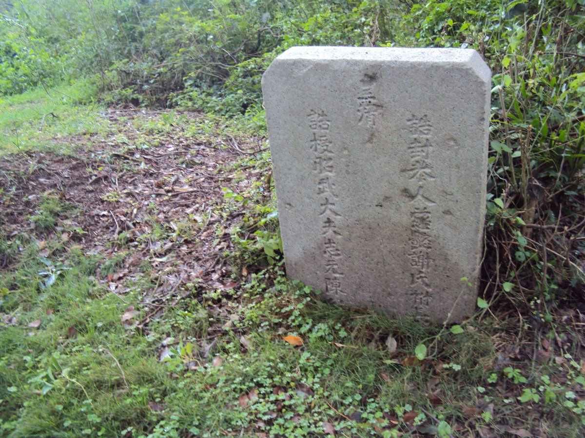 古崗 昭武大夫 陳志元墓 古崗 昭武大夫 陳志元墓
