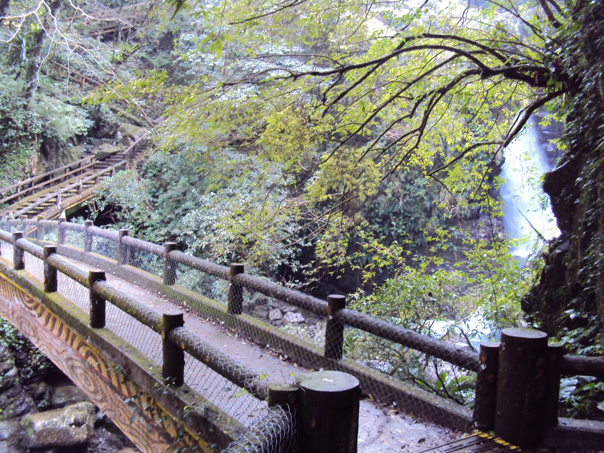 三峽 滿月圓森林遊樂區 三峽 滿月圓森林遊樂區