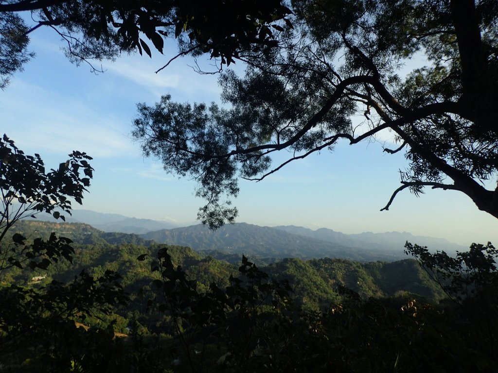潭子 聚興山 新田登山步道 潭子 聚興山 新田登山步道