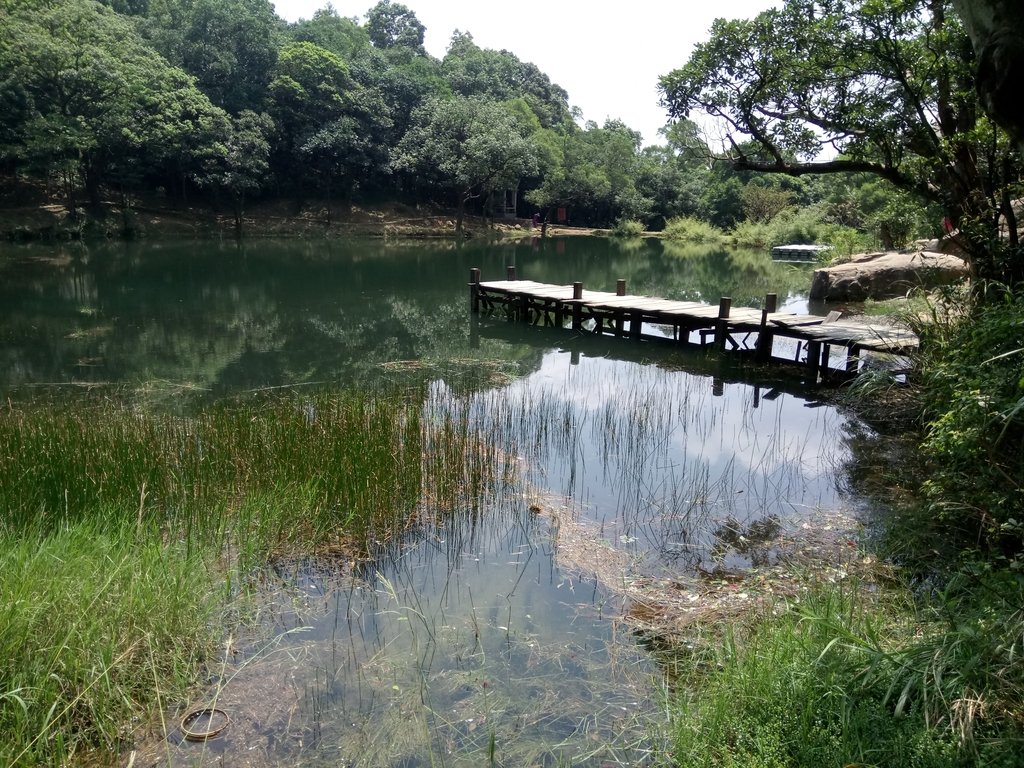 汐止 新山夢湖 汐止 新山夢湖