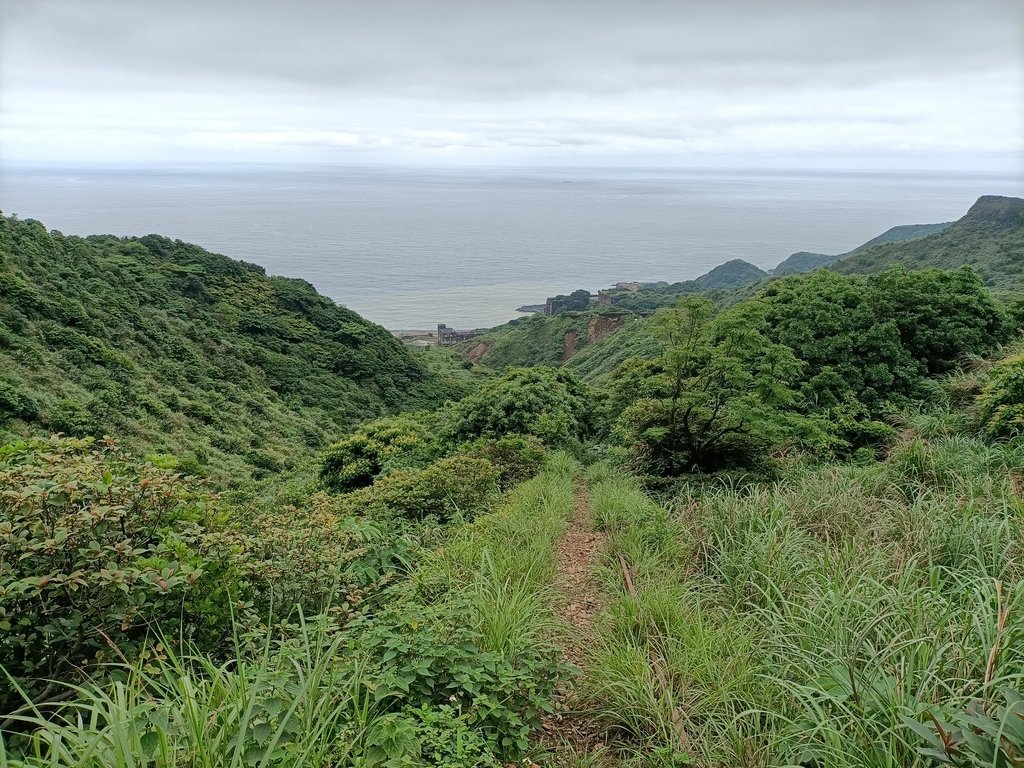 金瓜石之 無言山丘 本山六坑索道 金瓜石之 無言山丘 本山六坑索道