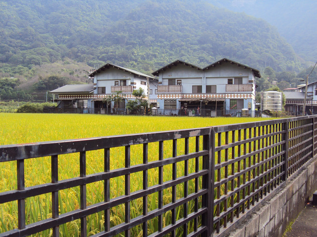 仁愛 互助村 中原部落 仁愛 互助村 中原部落