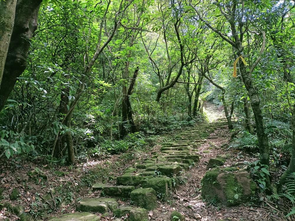 瑞芳  粗坑口登山步道