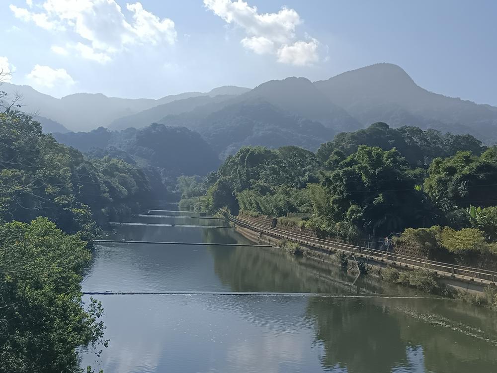 坪林 𩻸魚堀溪 觀魚步道