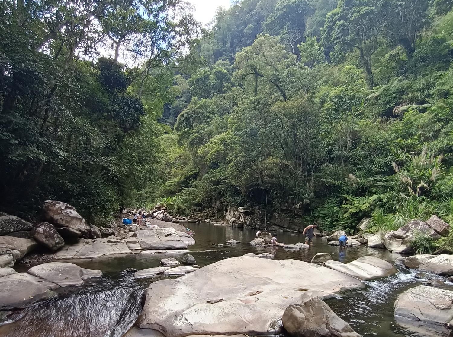 坪林 金瓜寮 魚蕨步道