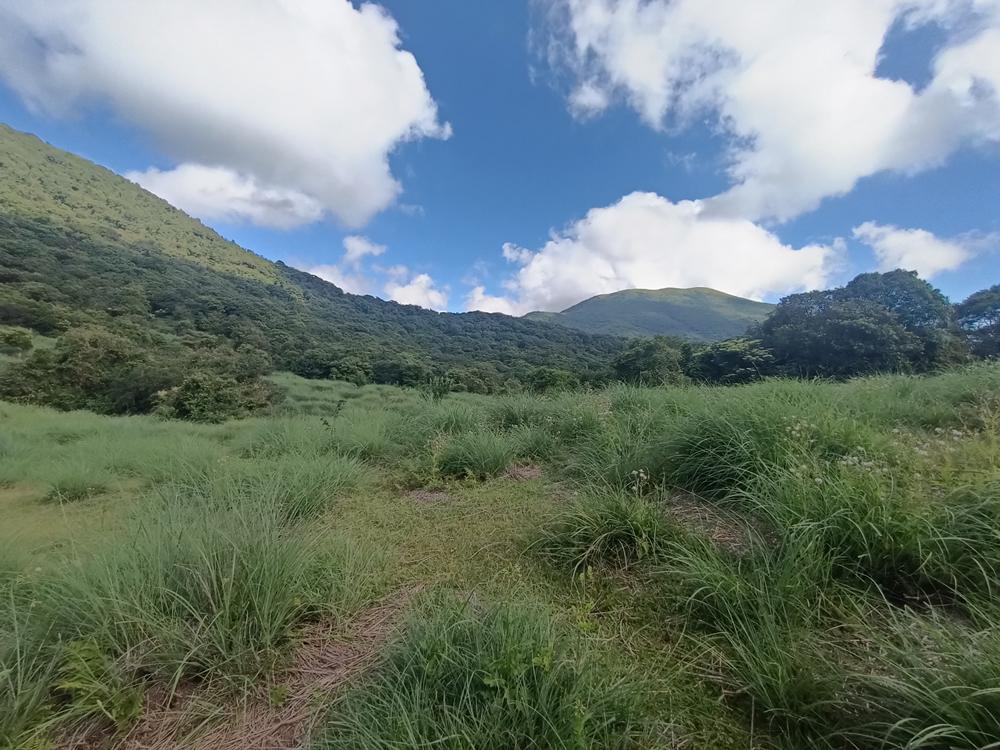 萬里  富士坪之  草原風情  (上)