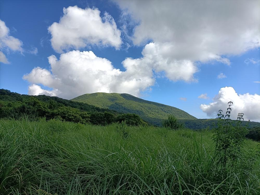 萬里  富士坪之  草原風情  (下)