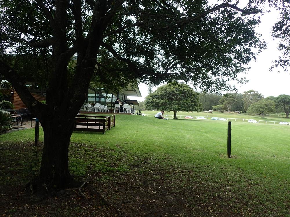 雪梨遊(02)  百年紀念公園