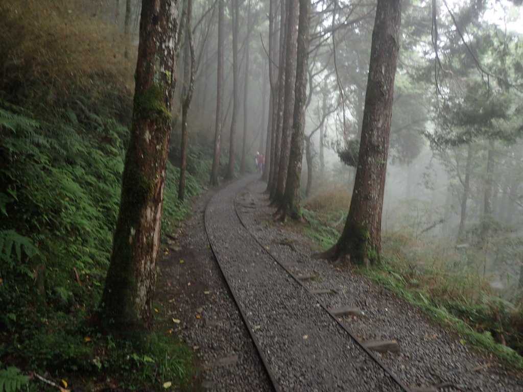 P8226780.JPG - 太平山 見晴懷古步道