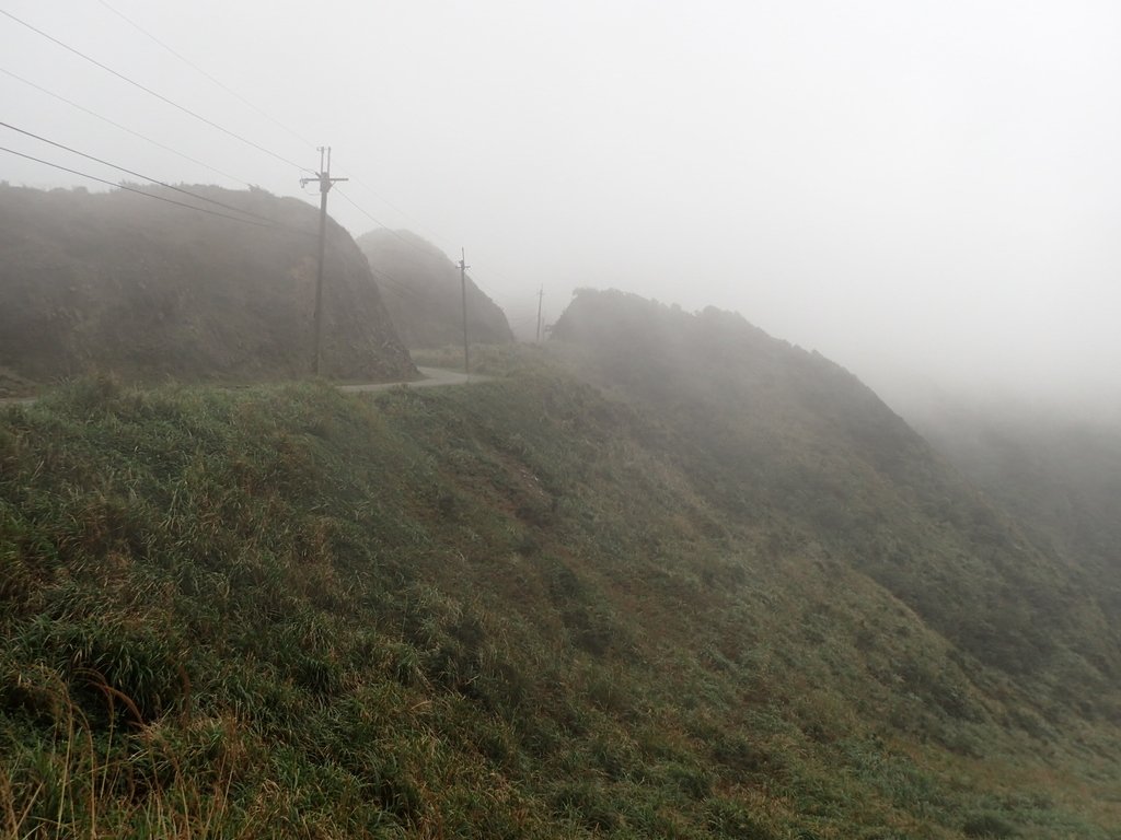 P1203575.JPG - 瑞芳  牡丹山