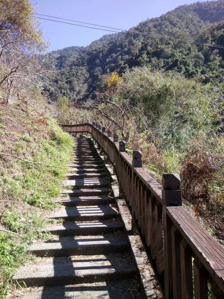 DSC_9131.JPG - 東埔  八通關古道