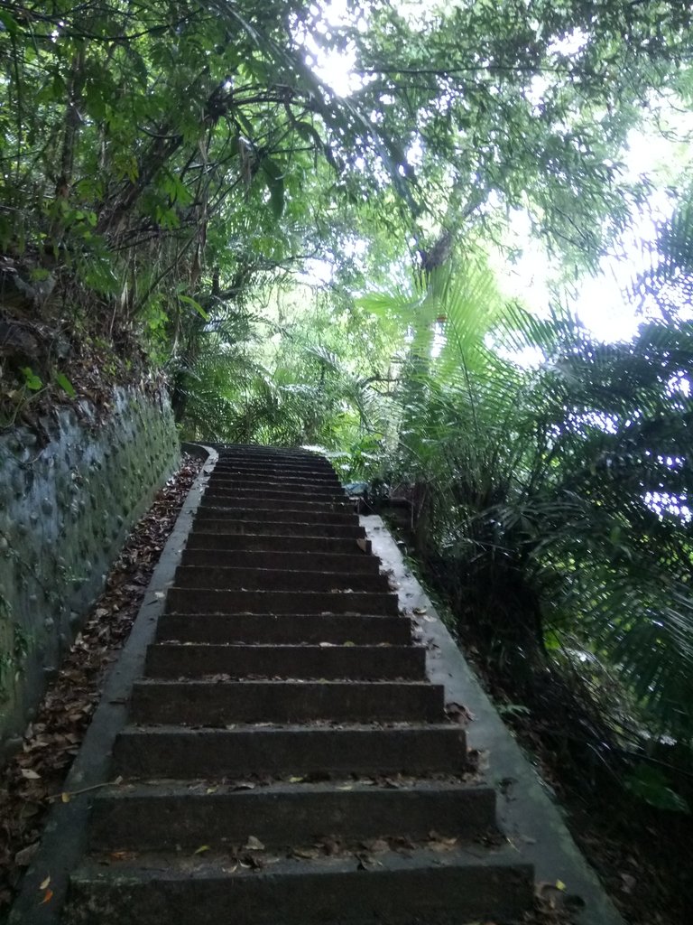 DSC_9625.JPG - 公館  出礦坑登山步道