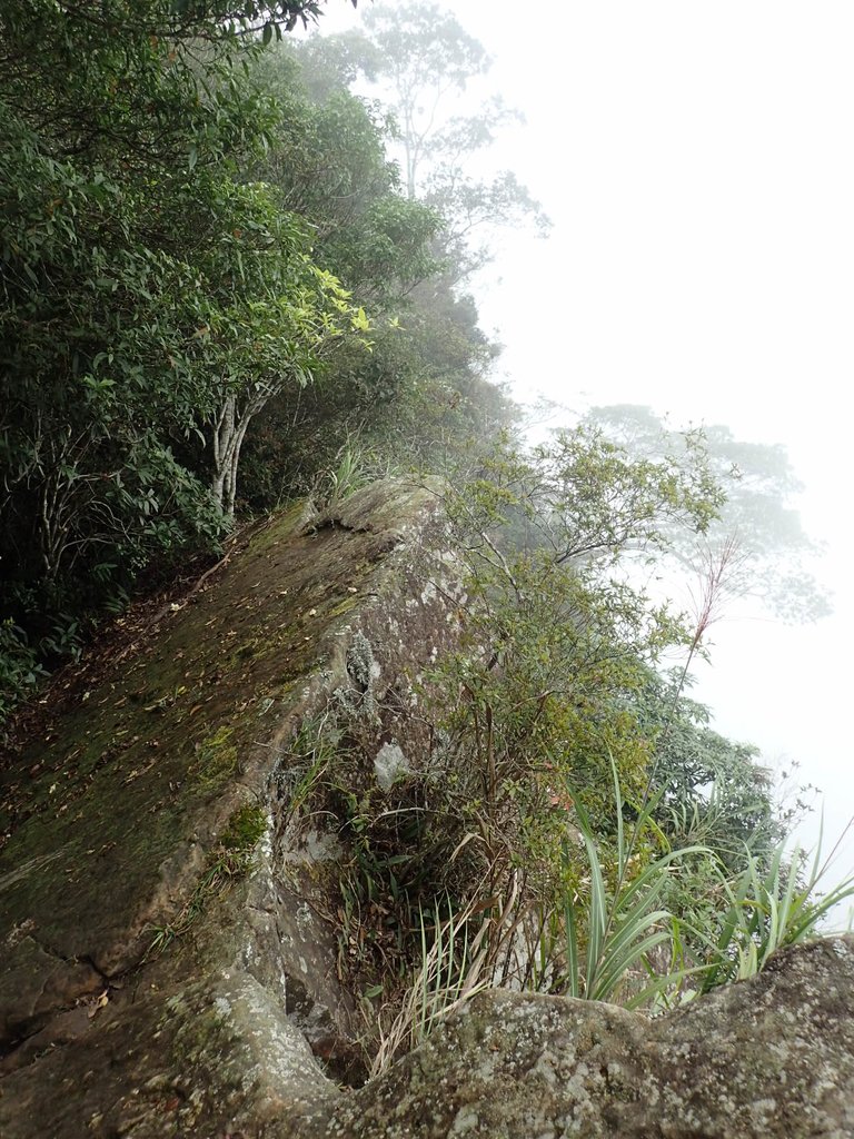 PA231725.JPG - 石壁山  嘉南雲峰步道