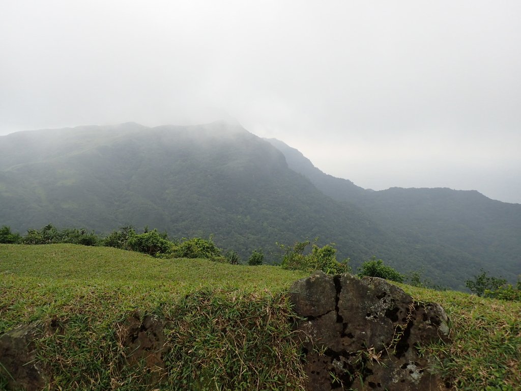 P5258743.JPG - 貢寮  桃源谷  灣坑頭山