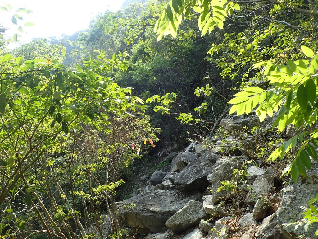 P3167359.JPG - 谷關七雄之  屋我尾山