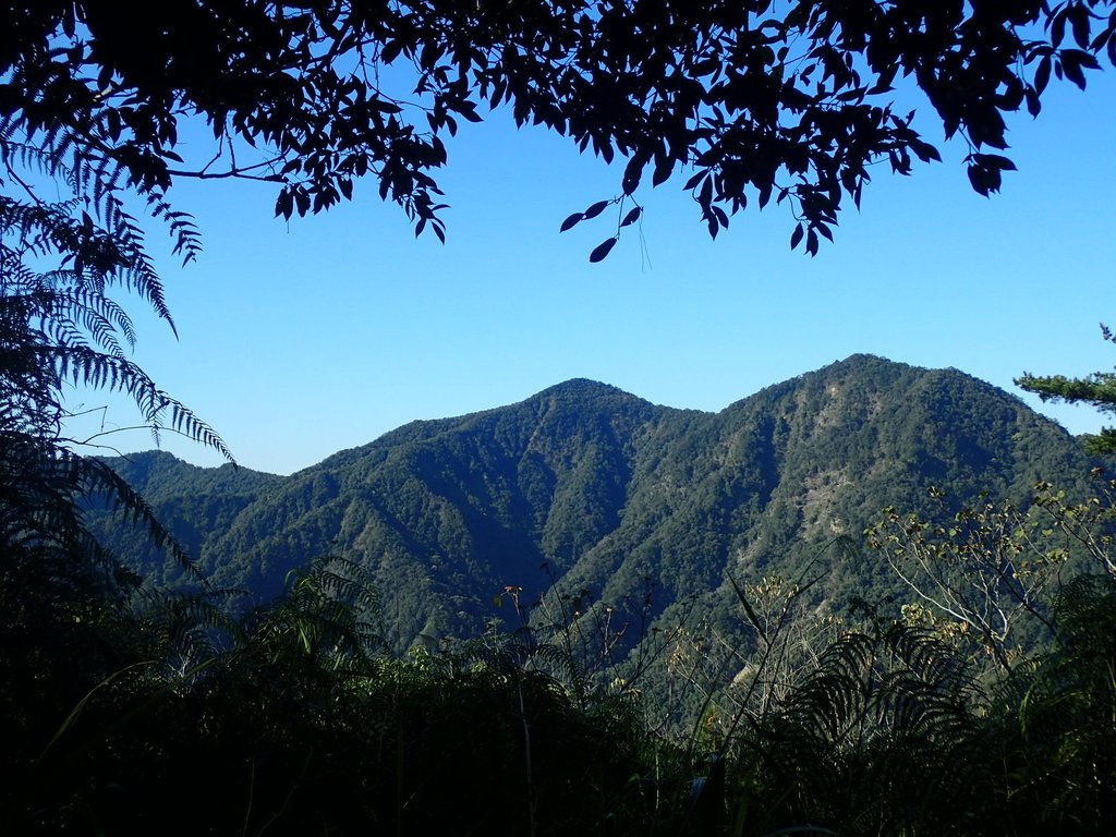 P2275874.JPG - 谷關七雄之  唐麻丹山