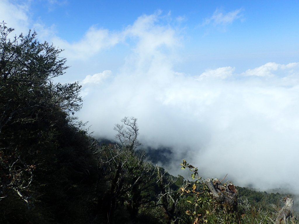 P2034877.JPG - 南庄  加里山