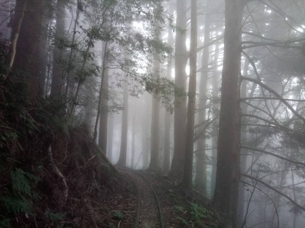 DSC_3791.JPG - 南庄  加里山  森林鐵道