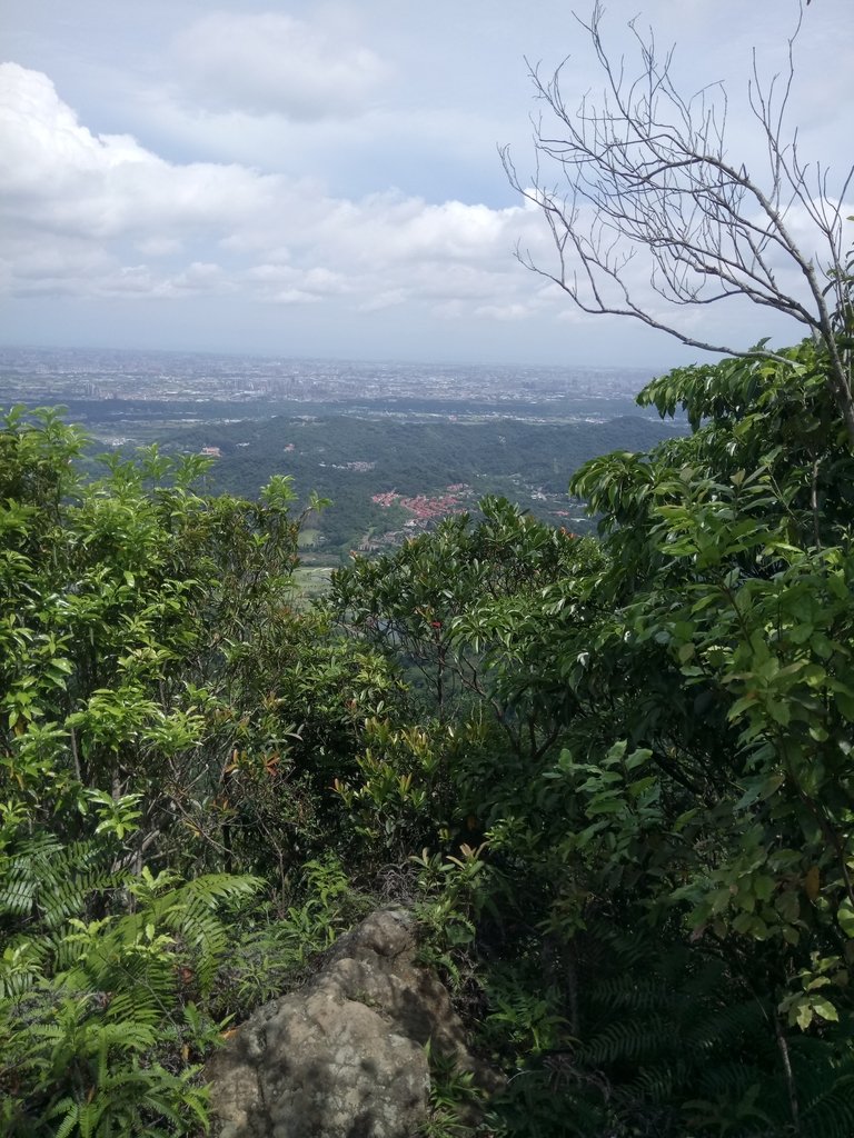 DSC_2994.JPG - 大溪  金面山登山步道