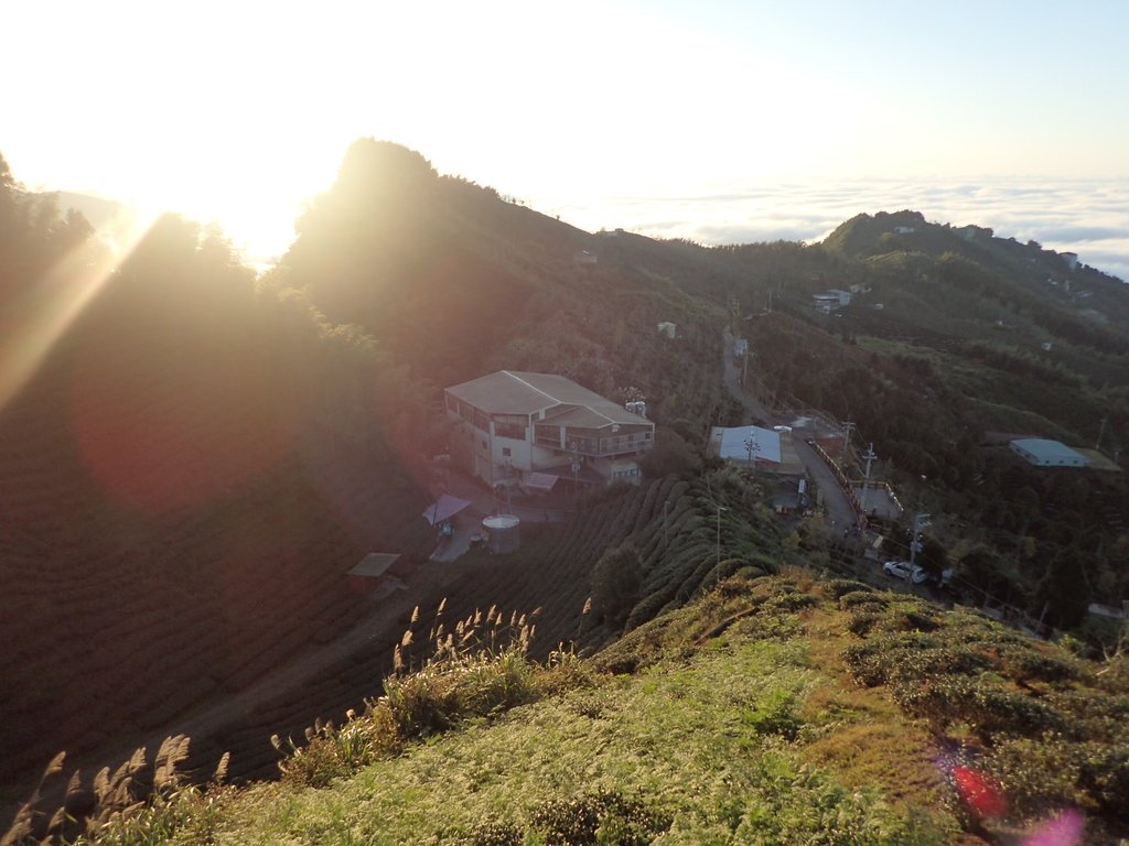 P1076405.JPG - 鹿谷  大崙山  觀霧亭之  暮光