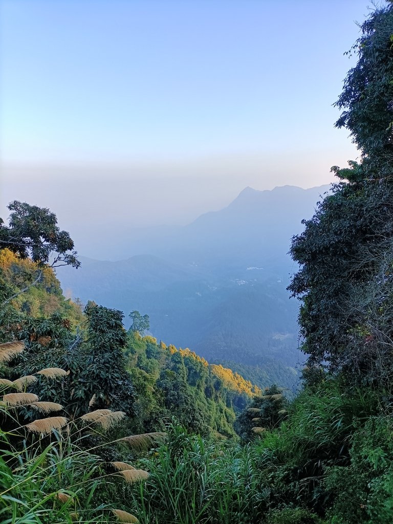 IMG20210205072757.jpg - 竹山  留龍頭  茶園風光