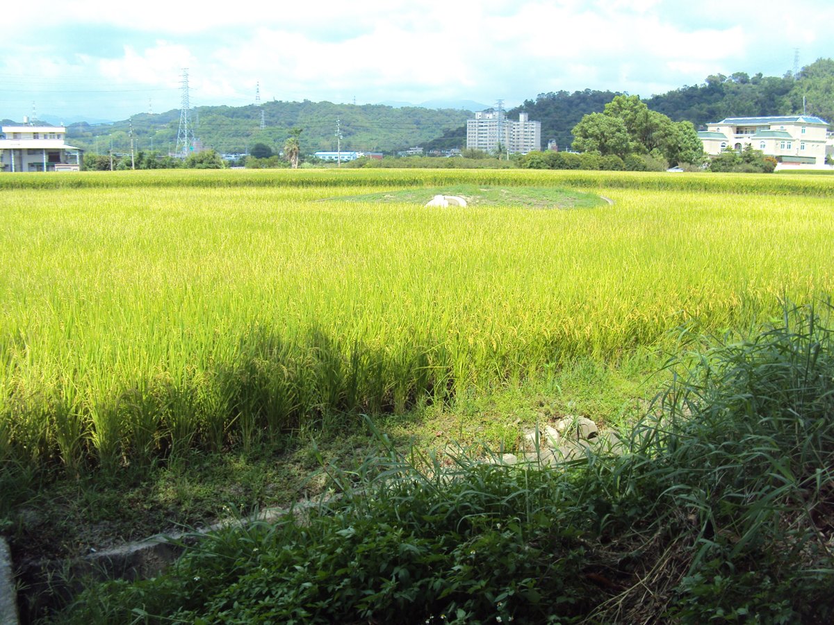 DSC07848.JPG - 霧峰  南柳  林恭寬墓