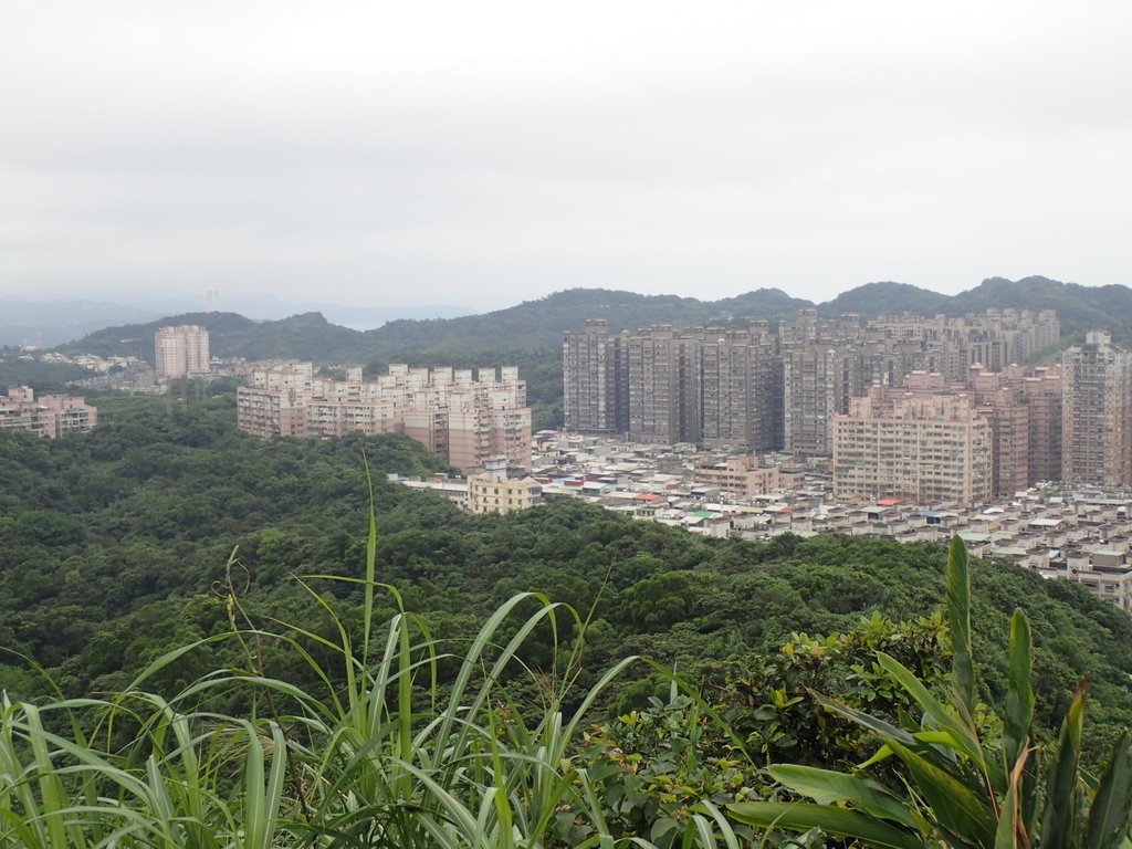 P4143577.JPG - 基隆  五坑山  總督嶺步道