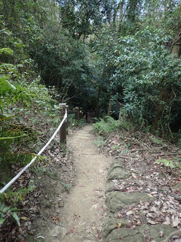 P2167960.JPG - 三峽  鳶尾山登山步道