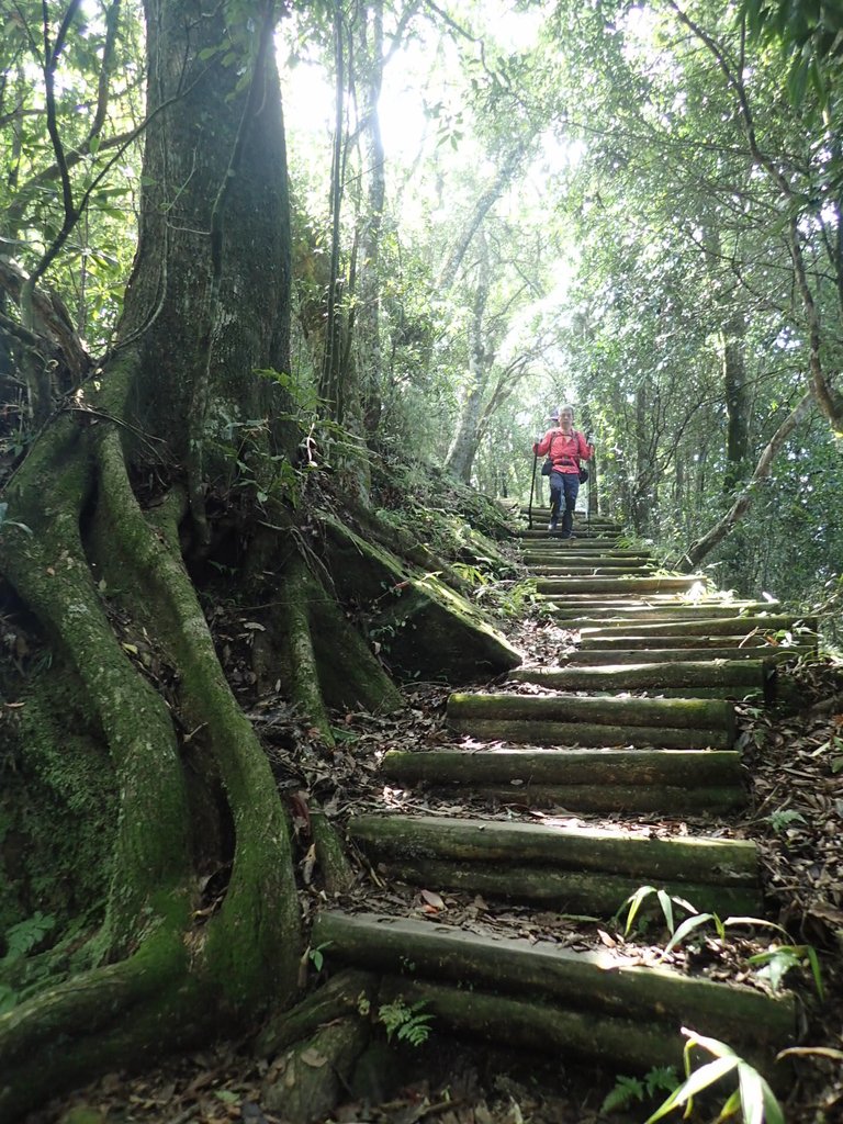 PA064400.JPG - 大湖  馬那邦山  (02)