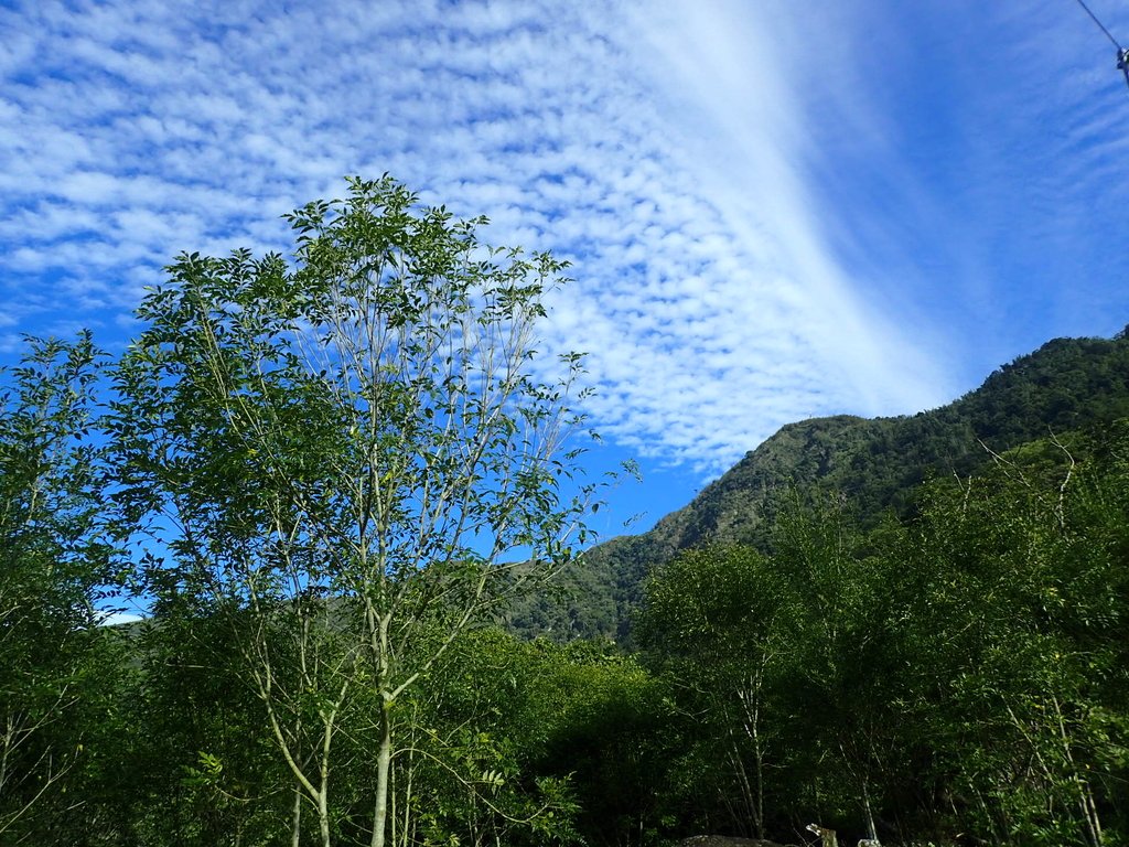 P1073199.JPG - 集集大山