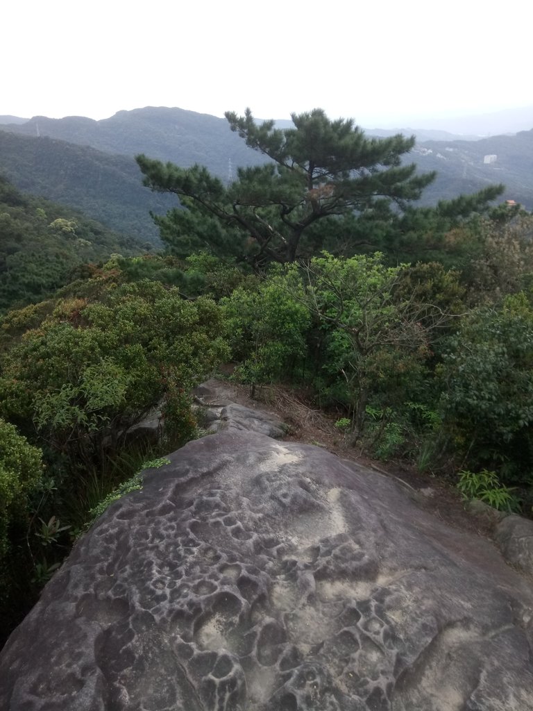 DSC_6992.JPG - 汐止  柯子林山  如意湖