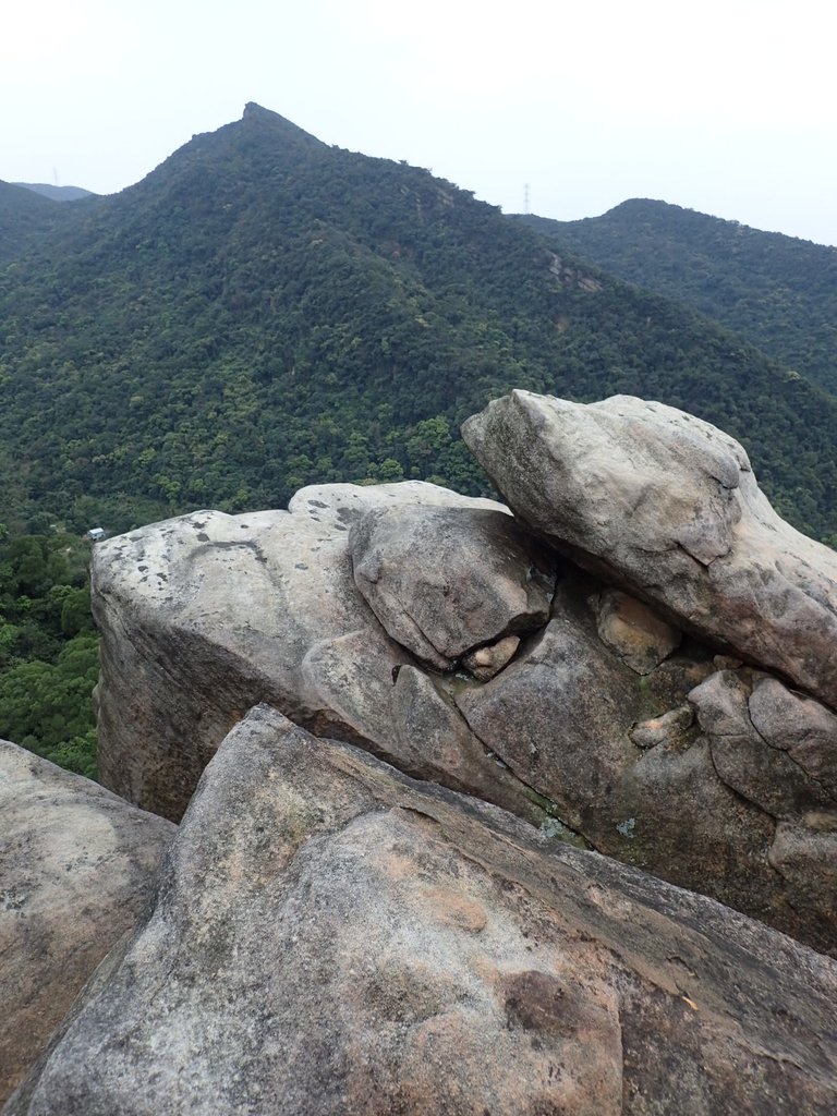 P3160150.JPG - 汐止  金面山(金明山)  稜線步道