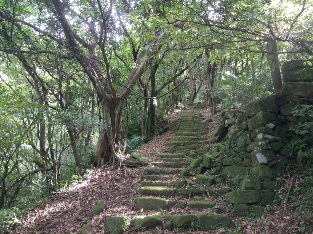 DSC_5379.JPG - 猴硐  小粗坑古道