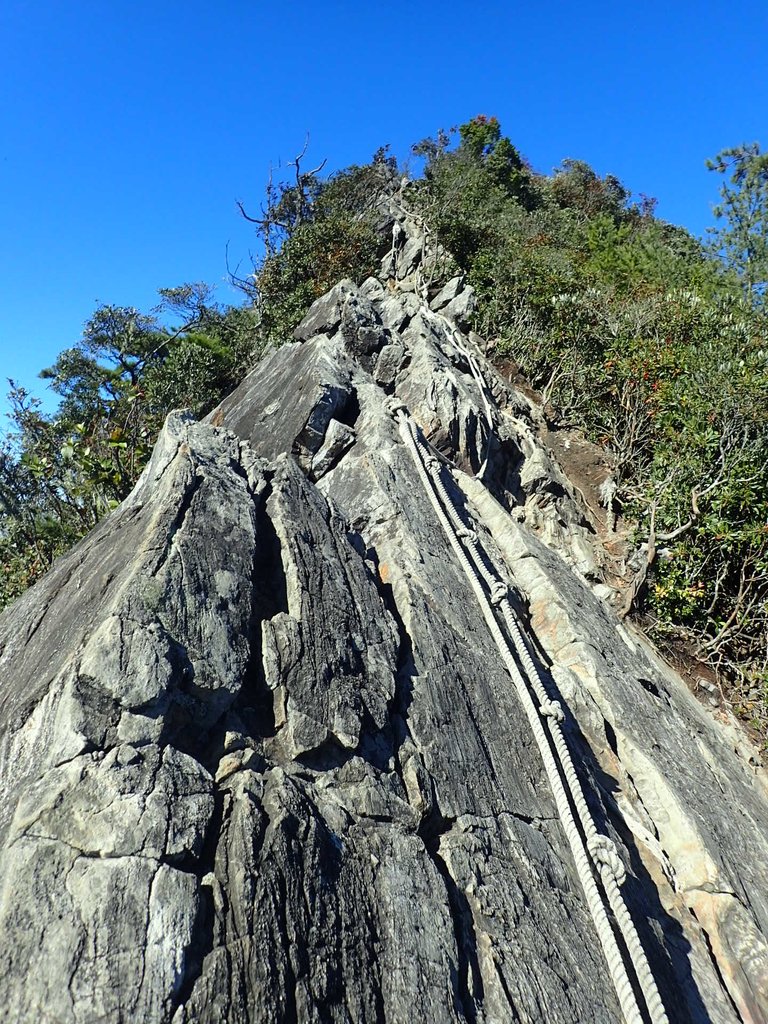 PA185543.JPG - 再訪---  台中  和平  鳶嘴山