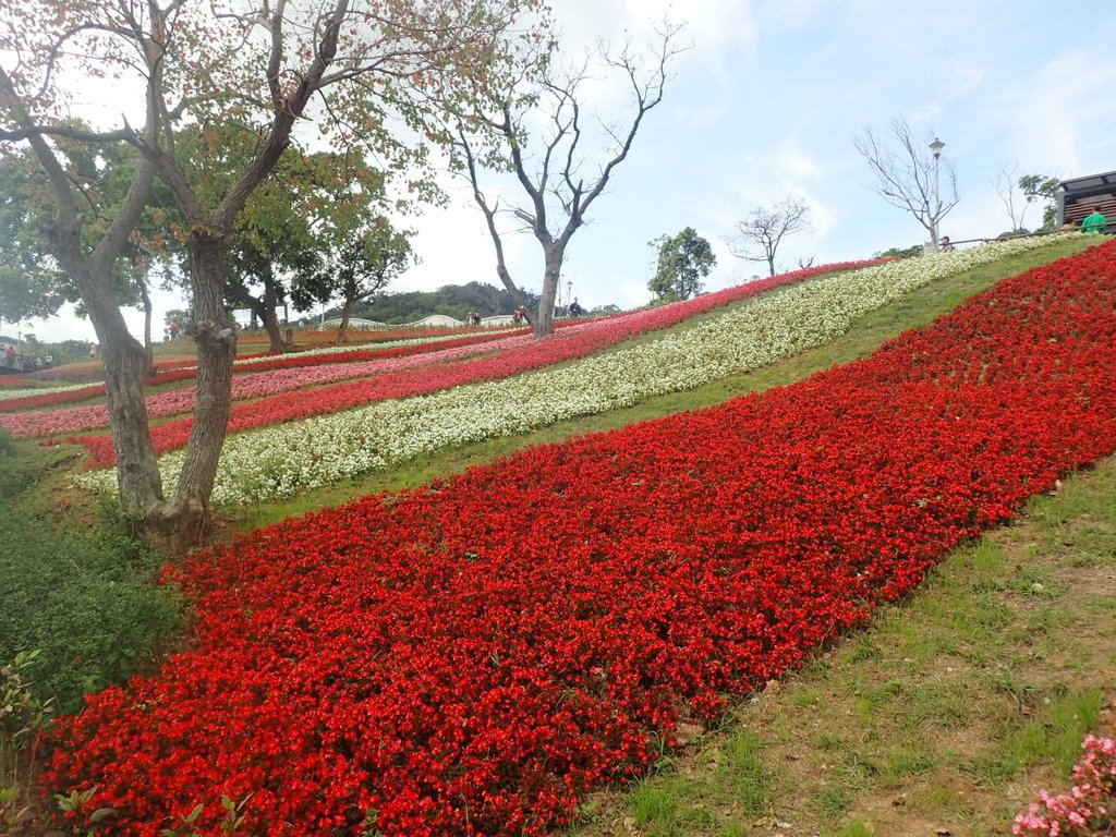 P2155428.JPG - 北投社  三層崎公園