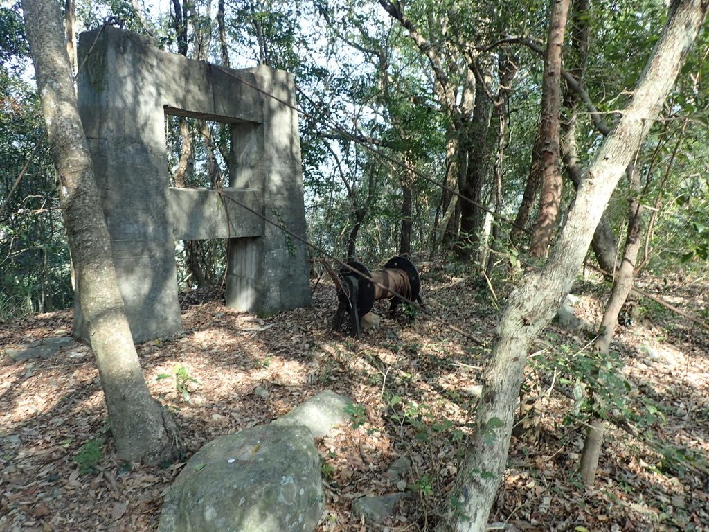 P3167360.JPG - 谷關七雄之  屋我尾山