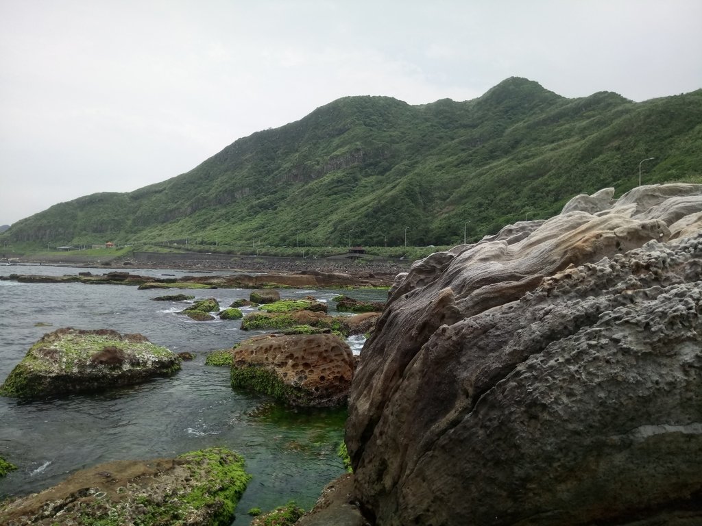 DSC_8003.JPG - 萬里  拳頭石海岸