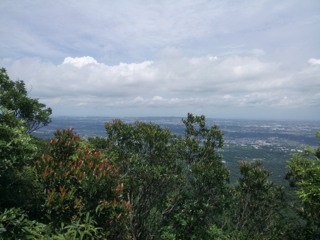 DSC_2995.JPG - 大溪  金面山登山步道