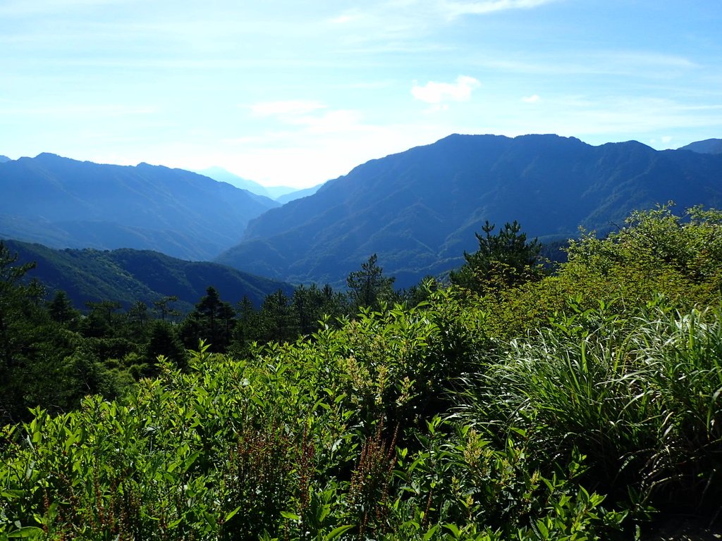 P7245938.JPG - 合歡山  北峰之美  (上)