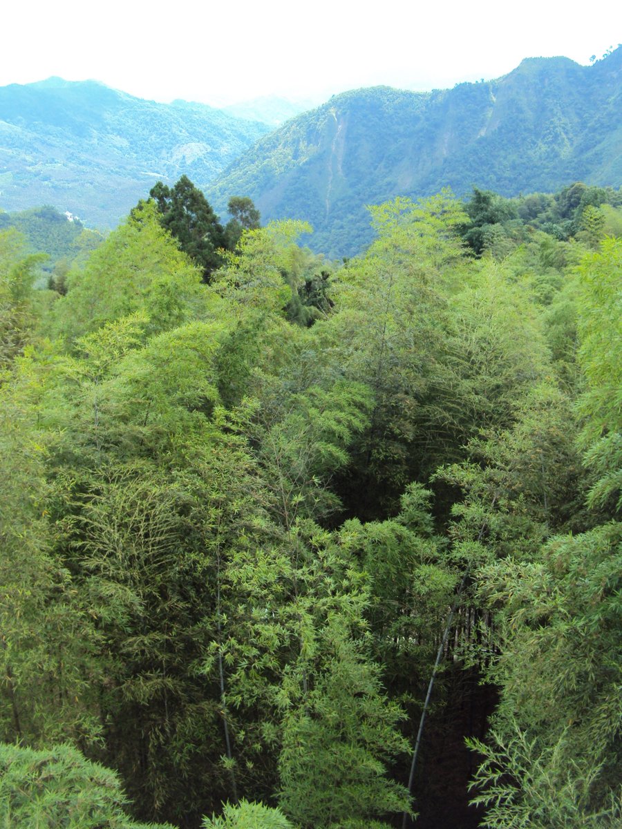 DSC08065.JPG - 竹山  大鞍  觀竹海樓