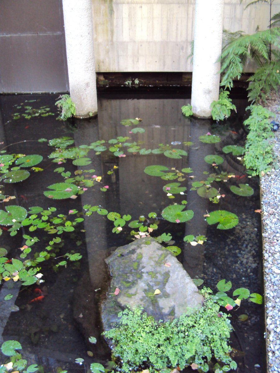 DSC03617.JPG - 大里  菩薩寺