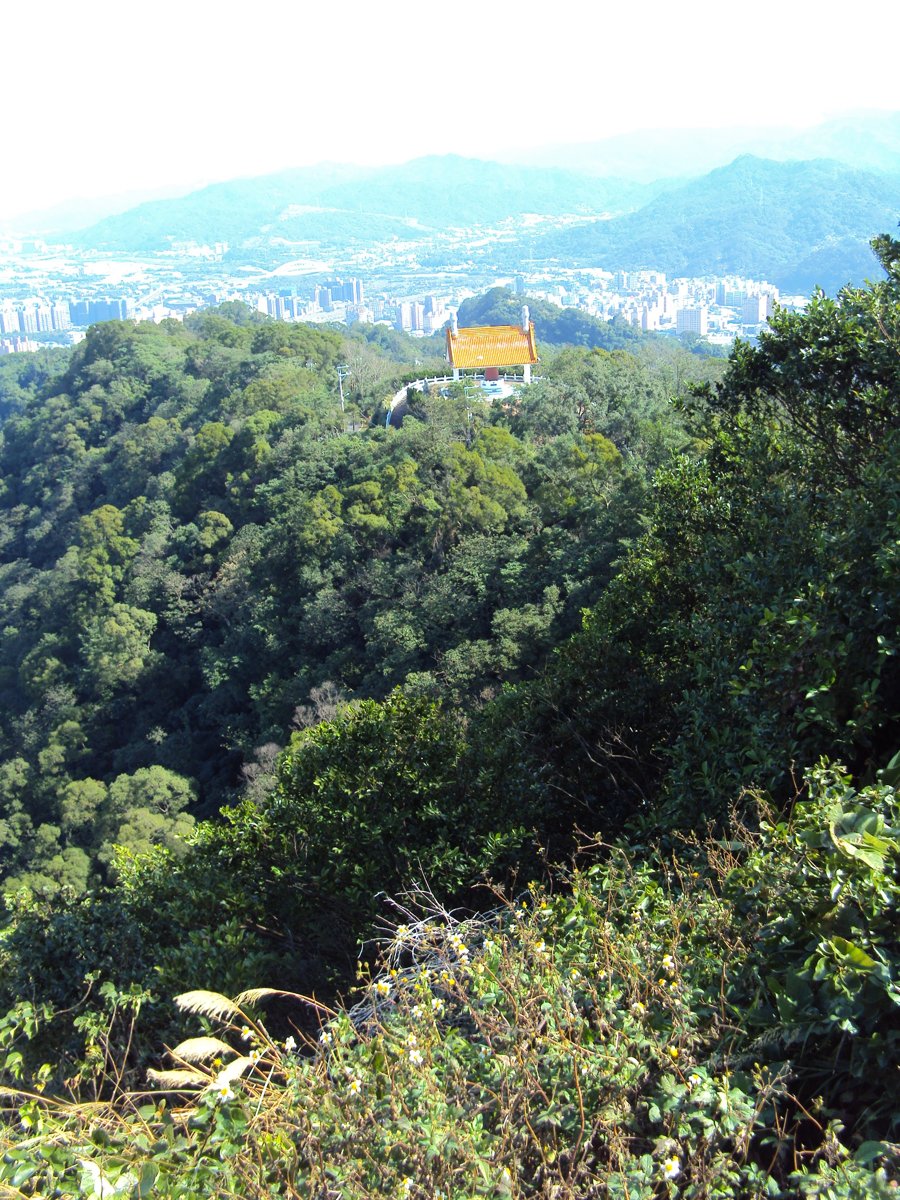 DSC01966.JPG - 三峽  鳶山登山步道