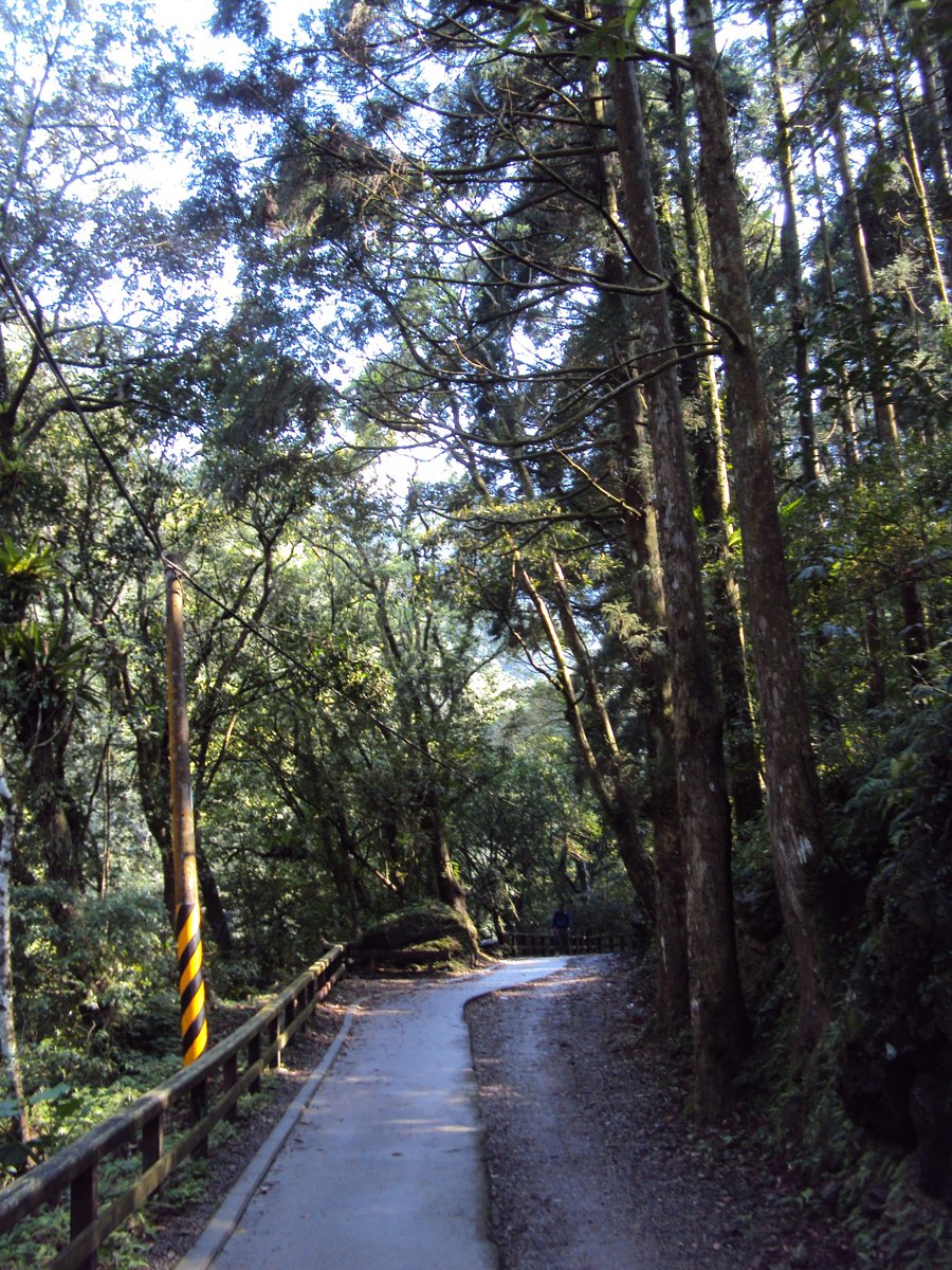 DSC04438.JPG - 三峽  滿月圓遊樂區