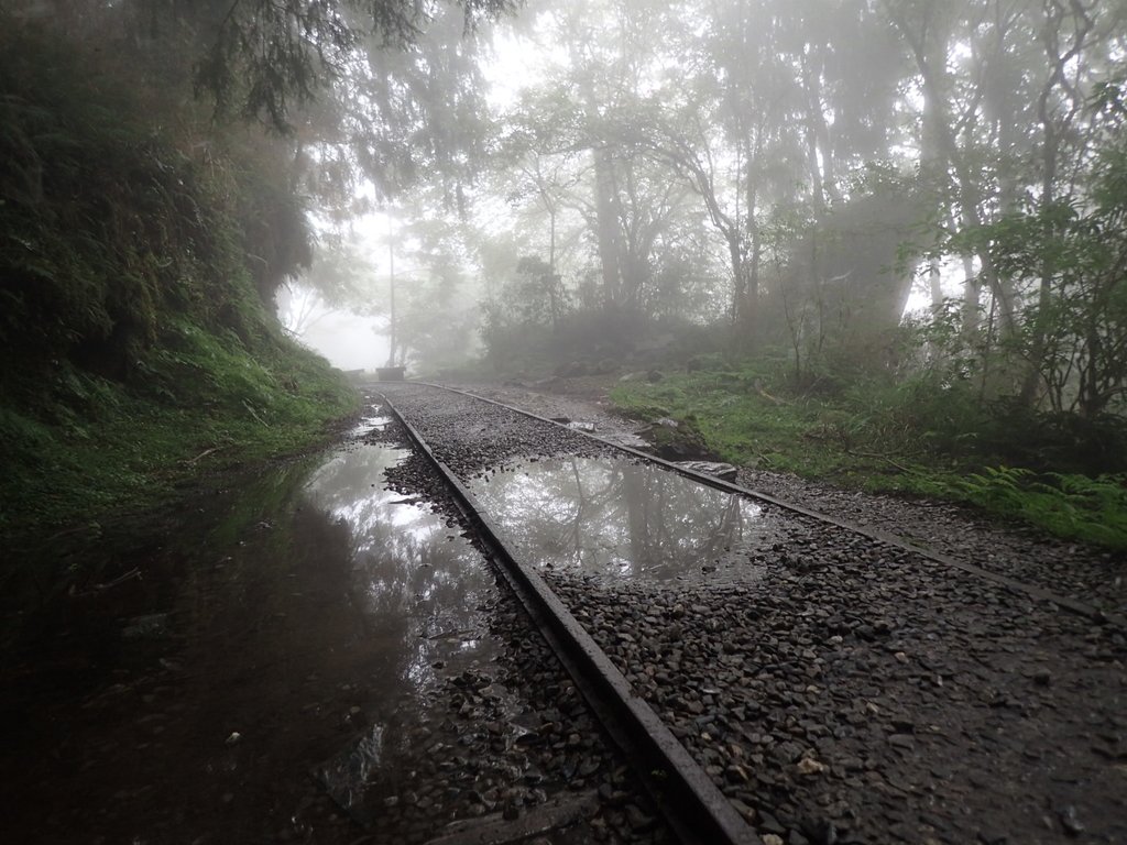 P8226793.JPG - 太平山 見晴懷古步道