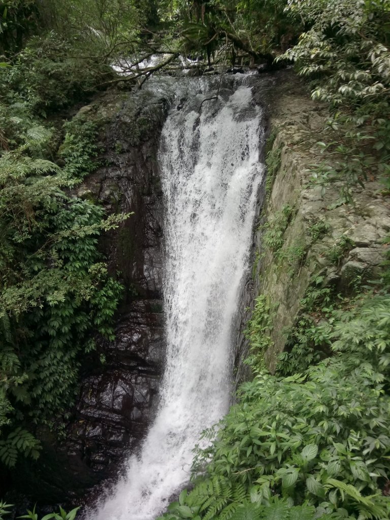 DSC_6494.JPG - 礁溪  林美石磐步道