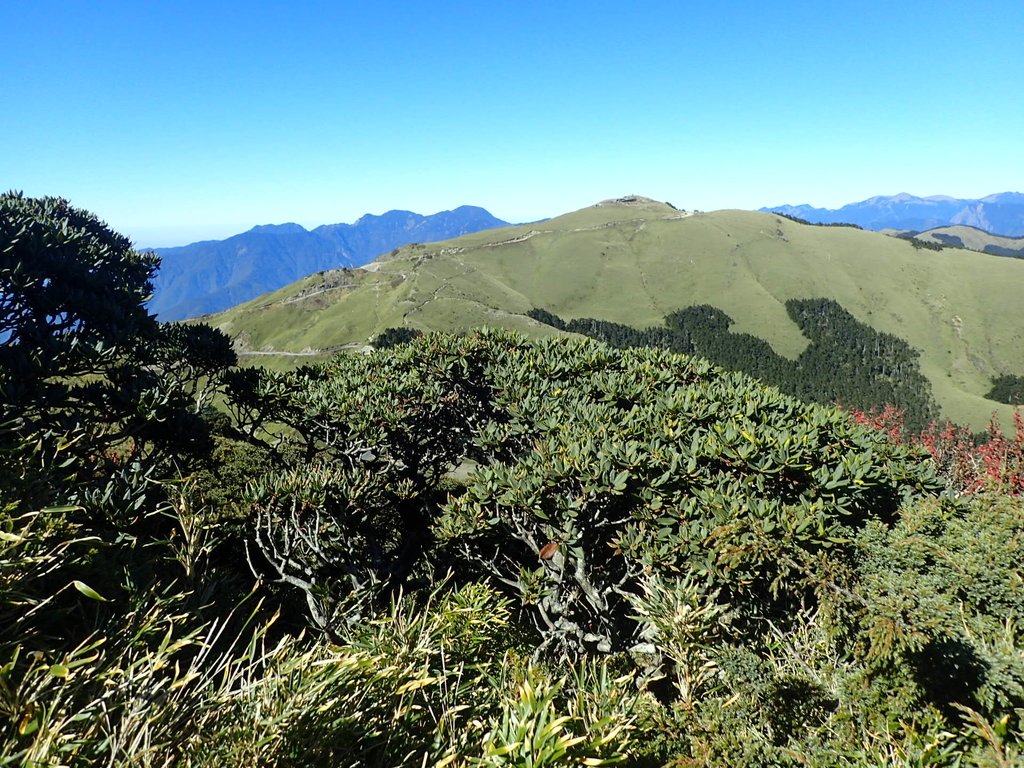 PC132130.JPG - 合歡山  東峰